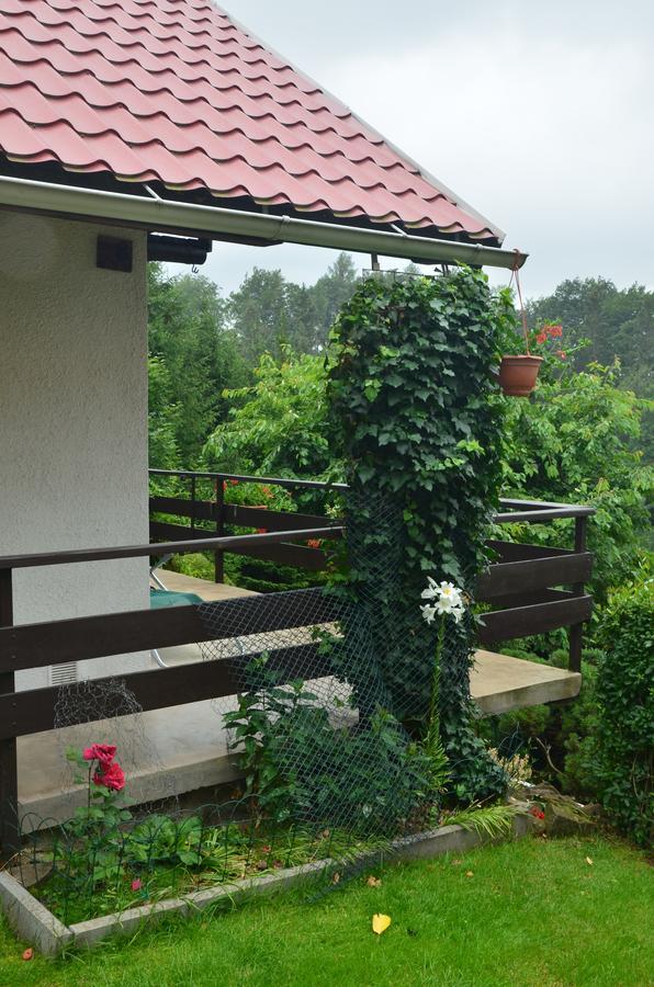 Chalet U Serifa *